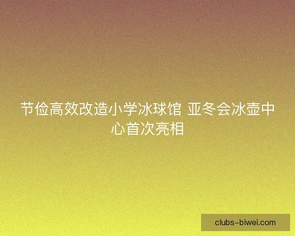 节俭高效改造小学冰球馆 亚冬会冰壶中心首次亮相